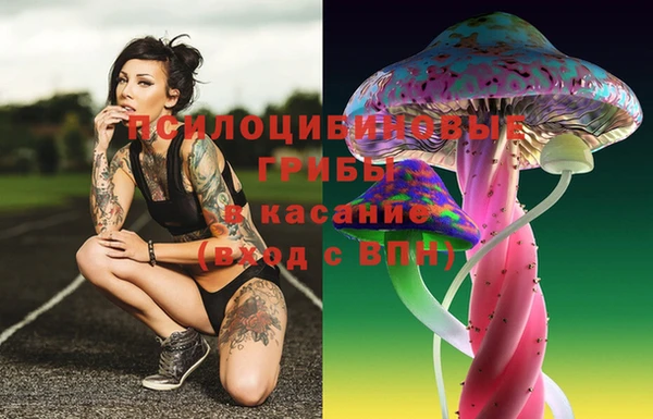дурь Кинешма